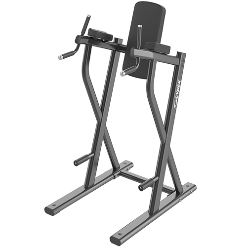 Jordan Fitness Dip / Leg Raise Station — commercial gym equipment distributed in India by Aspire Fitech